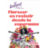 Revista 105